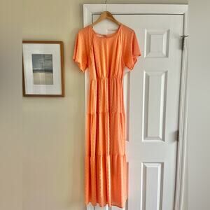 Reb in J Sherbet Orange Maxi Dress
